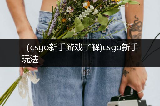 （csgo新手游戏了解)csgo新手玩法