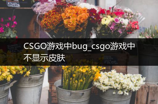 CSGO游戏中bug_csgo游戏中不显示皮肤