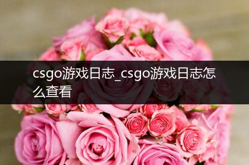 csgo游戏日志_csgo游戏日志怎么查看