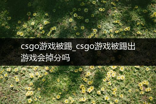 csgo游戏被踢_csgo游戏被踢出游戏会掉分吗