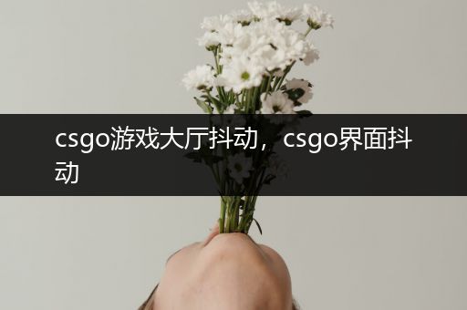 csgo游戏大厅抖动，csgo界面抖动