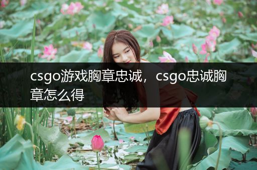 csgo游戏胸章忠诚，csgo忠诚胸章怎么得