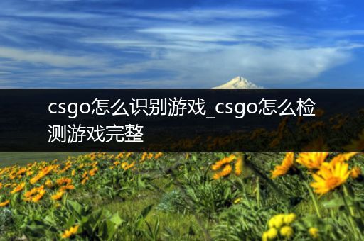 csgo怎么识别游戏_csgo怎么检测游戏完整