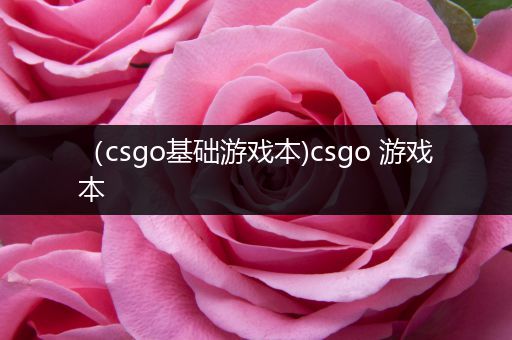 （csgo基础游戏本)csgo 游戏本