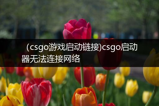 （csgo游戏启动链接)csgo启动器无法连接网络