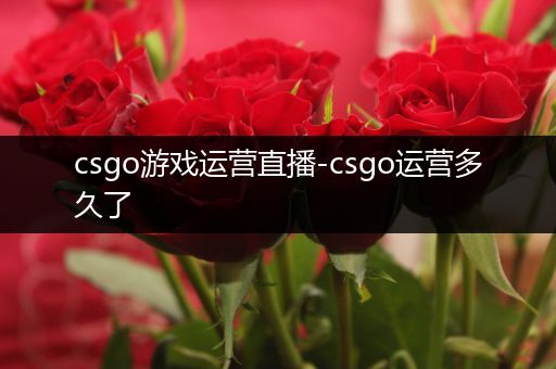 csgo游戏运营直播-csgo运营多久了