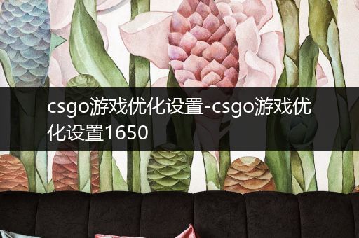 csgo游戏优化设置-csgo游戏优化设置1650