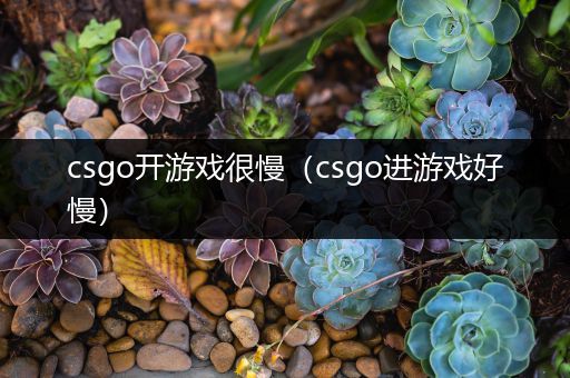 csgo开游戏很慢（csgo进游戏好慢）