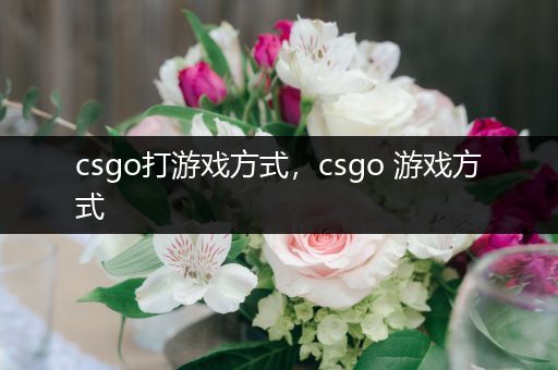 csgo打游戏方式，csgo 游戏方式