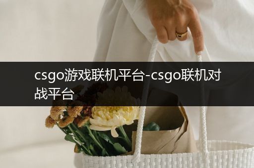 csgo游戏联机平台-csgo联机对战平台