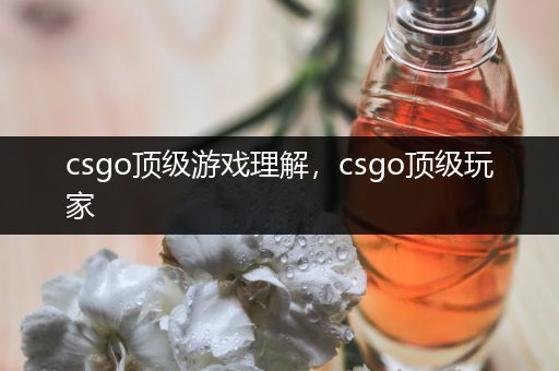 csgo顶级游戏理解，csgo顶级玩家