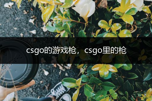 csgo的游戏枪，csgo里的枪