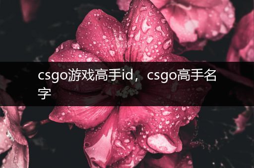 csgo游戏高手id，csgo高手名字