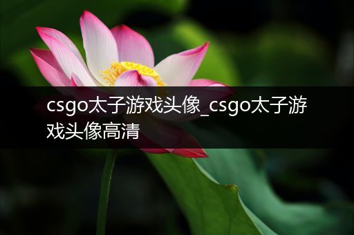 csgo太子游戏头像_csgo太子游戏头像高清