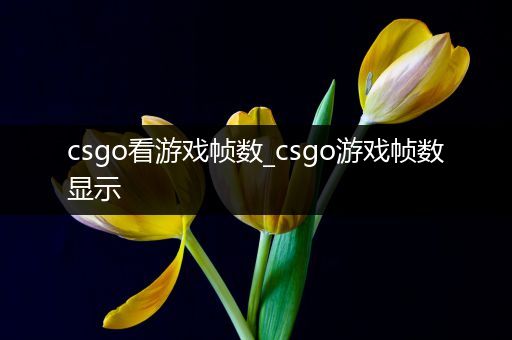 csgo看游戏帧数_csgo游戏帧数显示