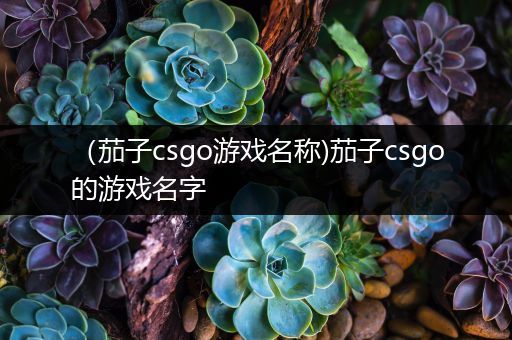 （茄子csgo游戏名称)茄子csgo的游戏名字