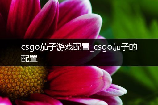 csgo茄子游戏配置_csgo茄子的配置