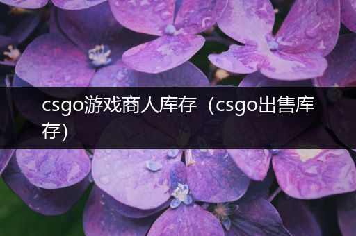 csgo游戏商人库存（csgo出售库存）