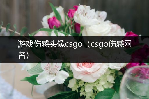 游戏伤感头像csgo（csgo伤感网名）