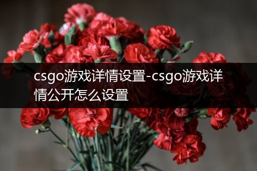 csgo游戏详情设置-csgo游戏详情公开怎么设置