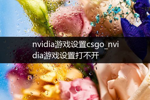 nvidia游戏设置csgo_nvidia游戏设置打不开