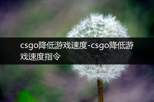 csgo降低游戏速度-csgo降低游戏速度指令