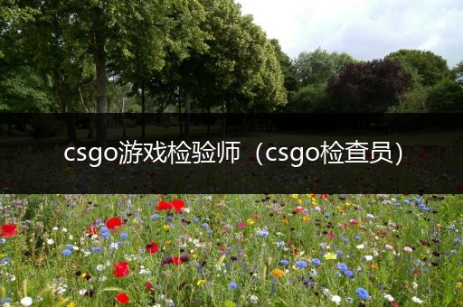 csgo游戏检验师（csgo检查员）