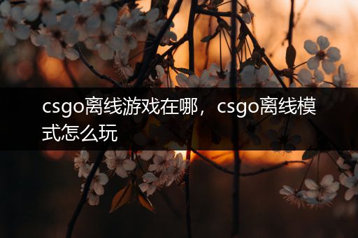 csgo离线游戏在哪，csgo离线模式怎么玩