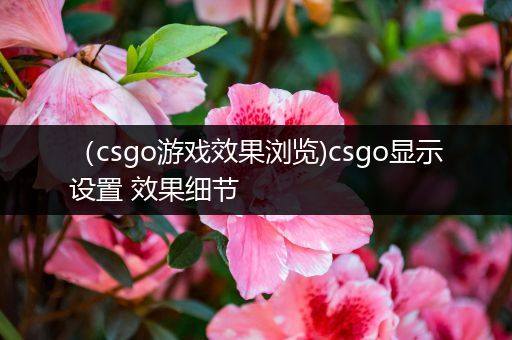 （csgo游戏效果浏览)csgo显示设置 效果细节