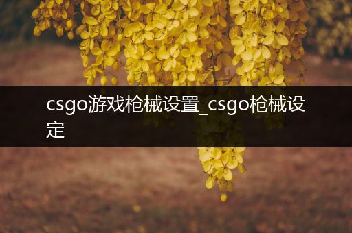 csgo游戏枪械设置_csgo枪械设定