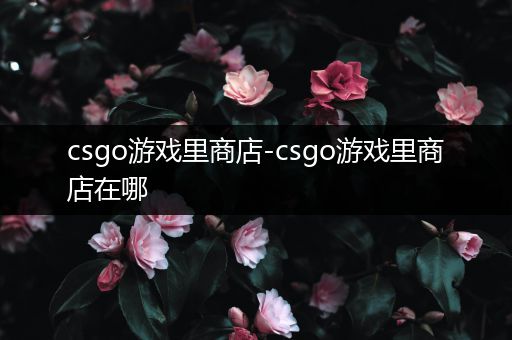 csgo游戏里商店-csgo游戏里商店在哪