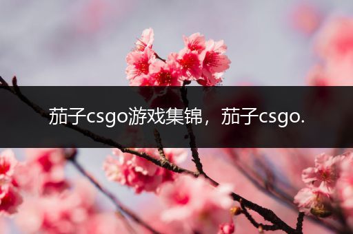 茄子csgo游戏集锦，茄子csgo.