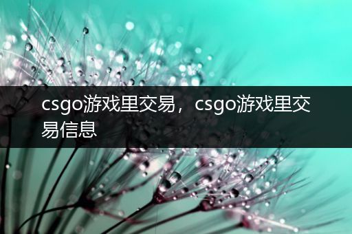 csgo游戏里交易，csgo游戏里交易信息