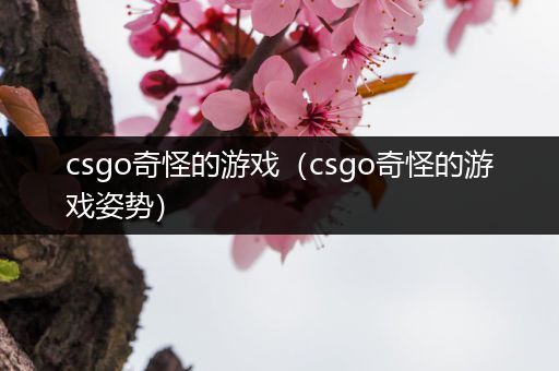 csgo奇怪的游戏（csgo奇怪的游戏姿势）