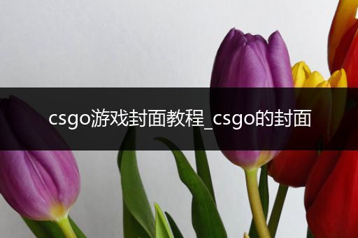 csgo游戏封面教程_csgo的封面