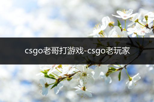 csgo老哥打游戏-csgo老玩家