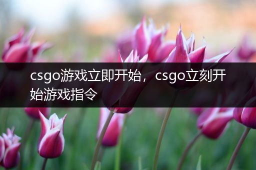 csgo游戏立即开始，csgo立刻开始游戏指令