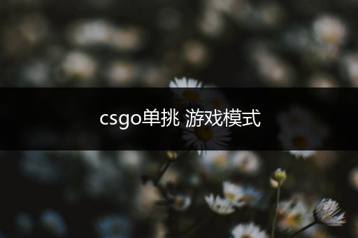 csgo单挑 游戏模式