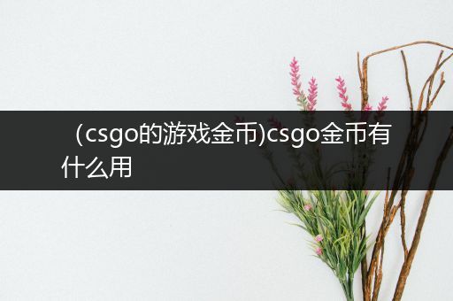 （csgo的游戏金币)csgo金币有什么用