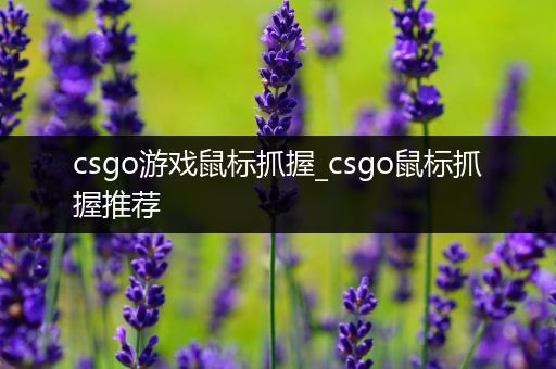 csgo游戏鼠标抓握_csgo鼠标抓握推荐