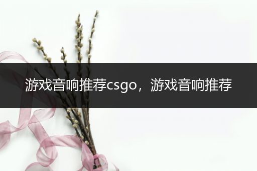 游戏音响推荐csgo，游戏音响推荐