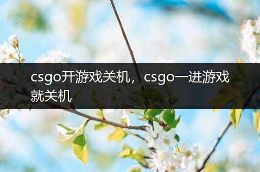 csgo开游戏关机，csgo一进游戏就关机