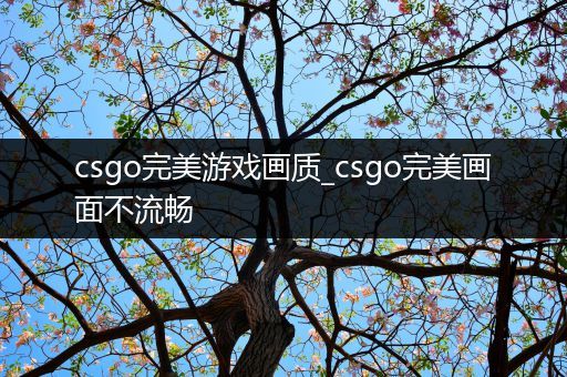 csgo完美游戏画质_csgo完美画面不流畅