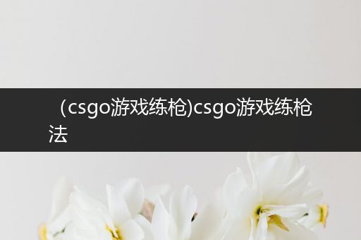 （csgo游戏练枪)csgo游戏练枪法