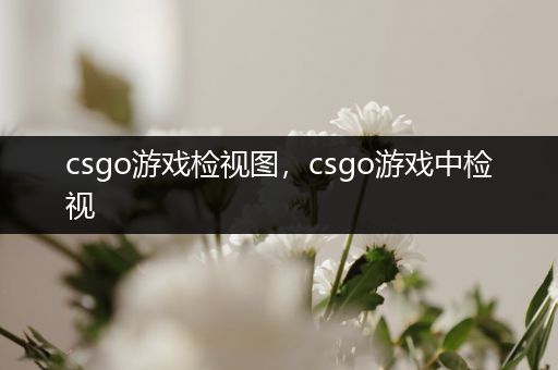 csgo游戏检视图，csgo游戏中检视