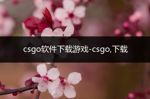 csgo软件下载游戏-csgo,下载