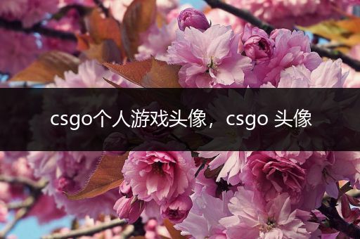 csgo个人游戏头像，csgo 头像