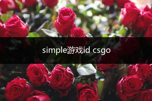 simple游戏id csgo