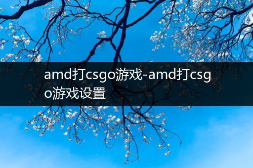 amd打csgo游戏-amd打csgo游戏设置