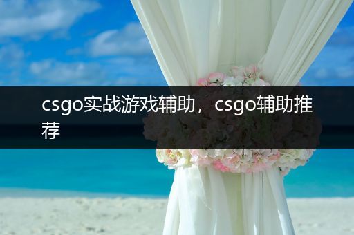 csgo实战游戏辅助，csgo辅助推荐